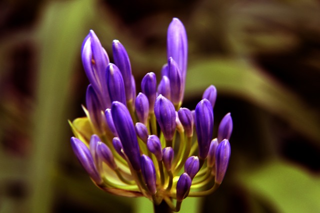 结尾不足 结尾不足