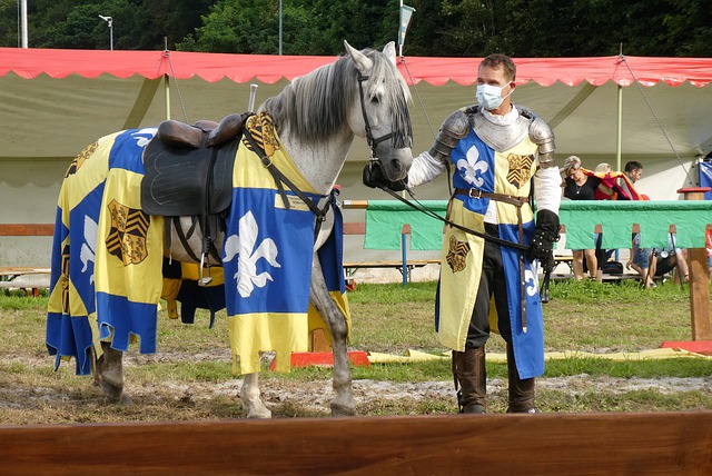 歐洲足壇將 歐洲足壇將