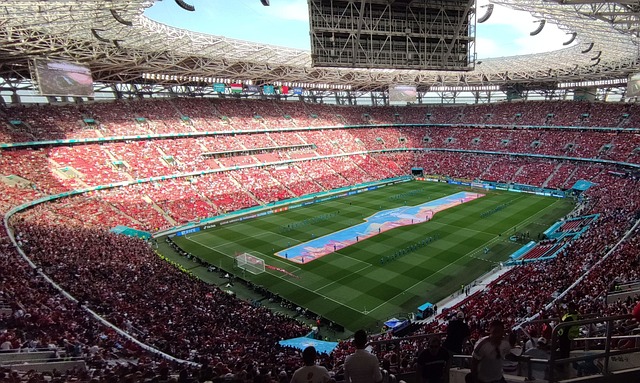 安排表明 安排表明