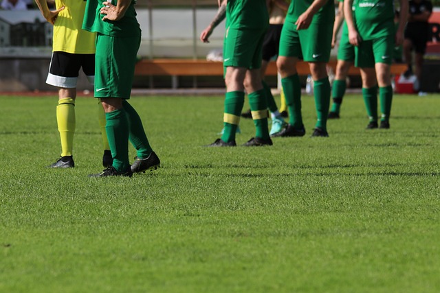 以期在未来 以期在未来